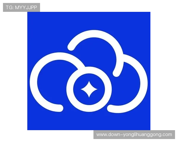 永利app官网最新版本下载安装指南，全面解析永利app官网的安全性与稳定性