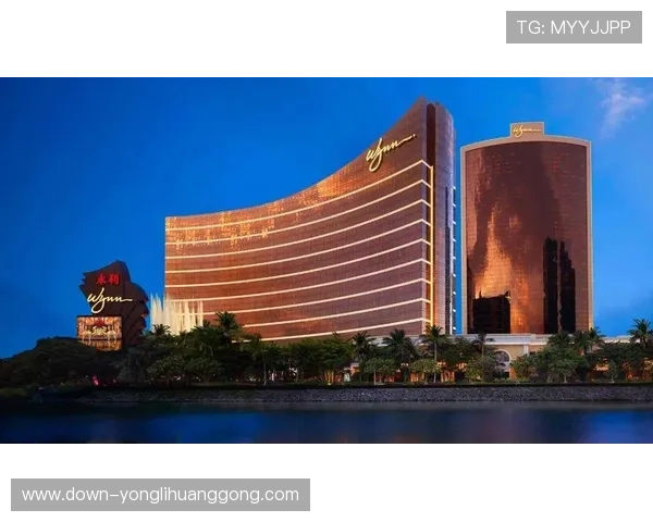 永利赌场是谁的品牌所有权，探究其商标和品牌背后的所有者信息