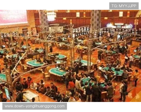 澳门十大赌场排名2024最新版本，带你领略最顶级的博彩体验