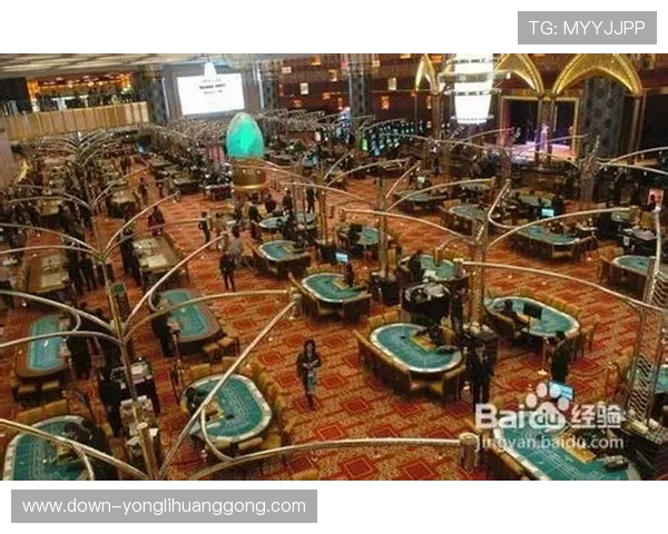 澳门最大的几个赌场的娱乐项目，体验这些赌场提供的丰富多彩的娱乐选择