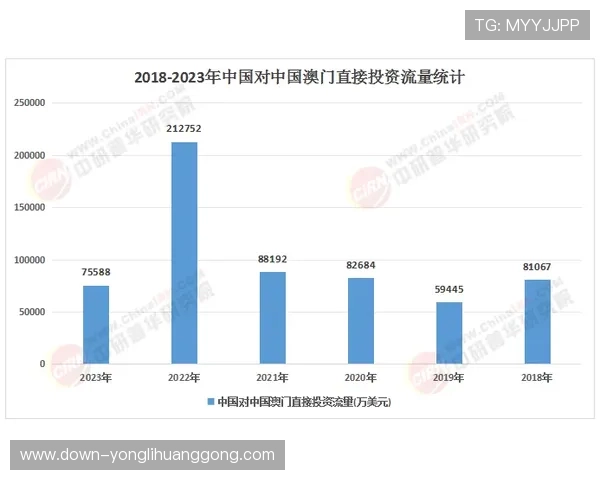 澳门十大娱乐场所法人代表详细介绍及其在行业中的重要作用分析