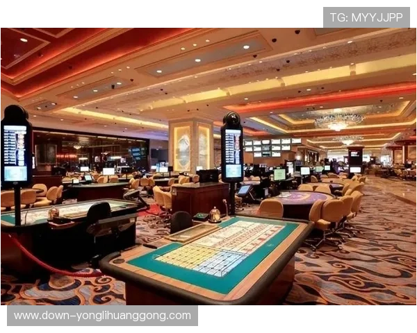 澳门哪个赌场人最多最热闹，最适合体验高峰期娱乐氛围的赌场推荐