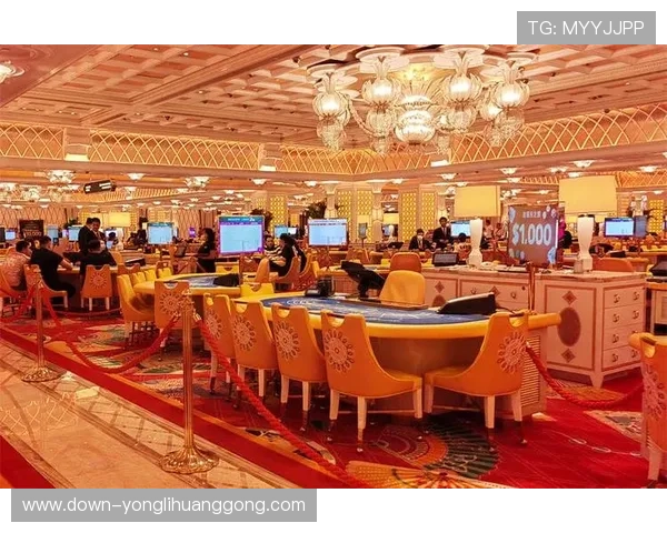 澳门永利皇宫网站支付方式多样化快速便捷保障资金安全