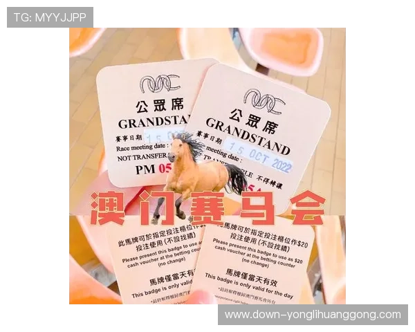 澳门赛马会三码公函的法律效力与使用范围，专家为您解读相关法规与操作技巧