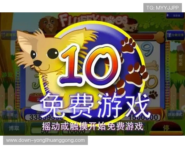 角子机是什么以及如何选择适合自己的角子机游戏设备指南