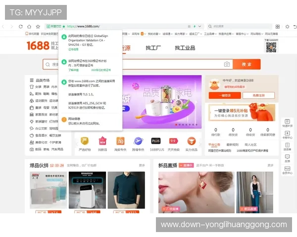 永乐高网址官方地址官方入口，详细介绍访问步骤与常见问题解决方案